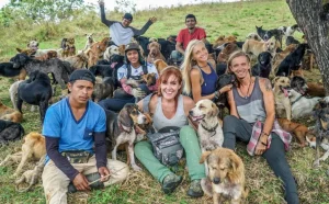 Honoring the Shelter for the Stray with a Dedicated Medical Clinic