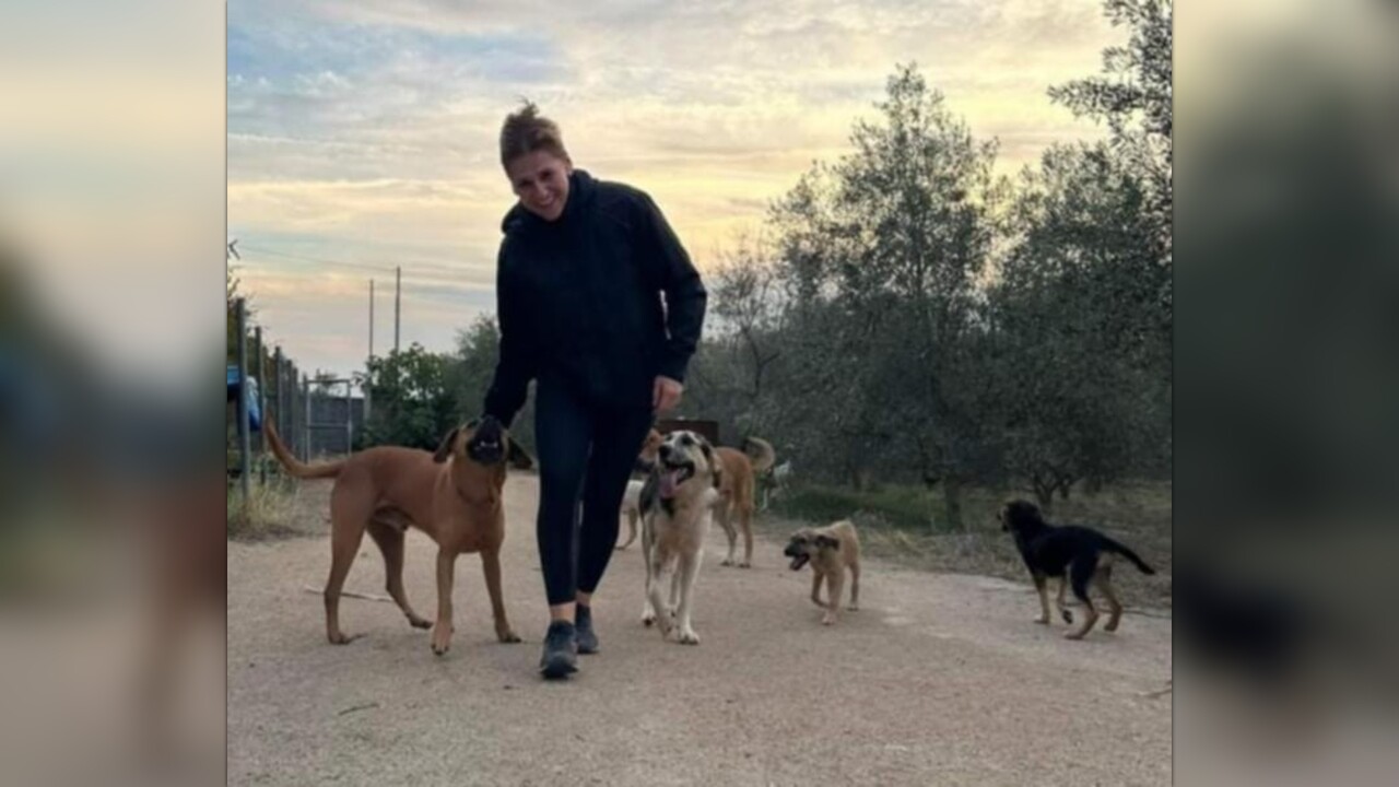 Providing a safe and loving space for the dogs